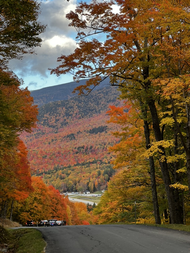 Fall foliage in the White Mountains
